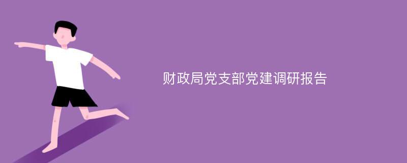 财政局党支部党建调研报告