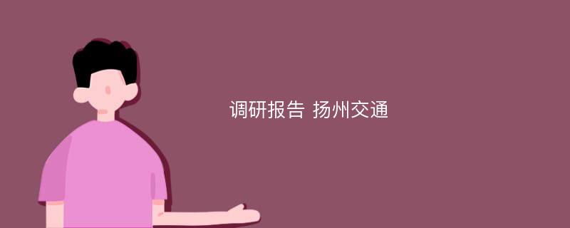 调研报告 扬州交通