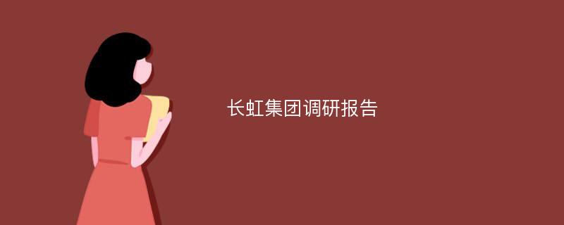 长虹集团调研报告