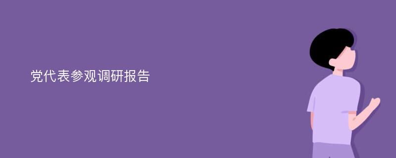 党代表参观调研报告