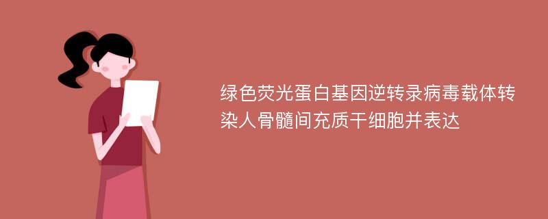 绿色荧光蛋白基因逆转录病毒载体转染人骨髓间充质干细胞并表达