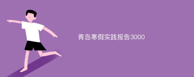 青岛寒假实践报告3000