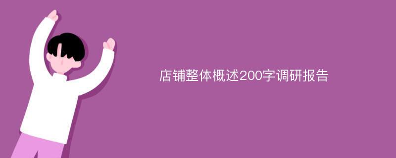 店铺整体概述200字调研报告