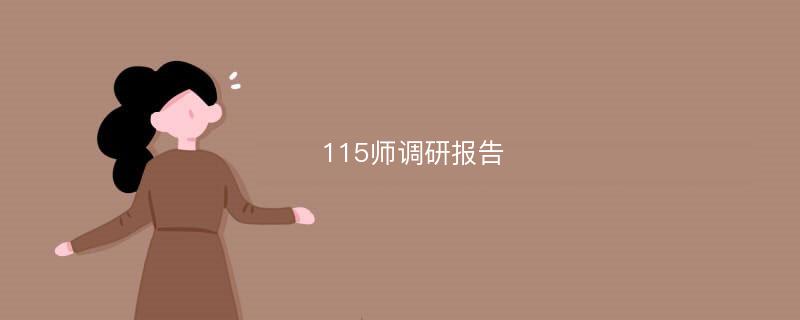 115师调研报告