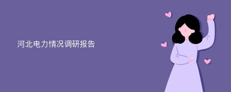 河北电力情况调研报告