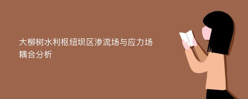 大柳树水利枢纽坝区渗流场与应力场耦合分析