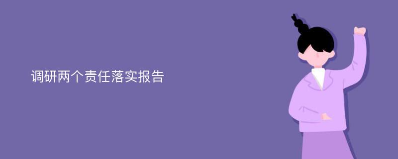 调研两个责任落实报告