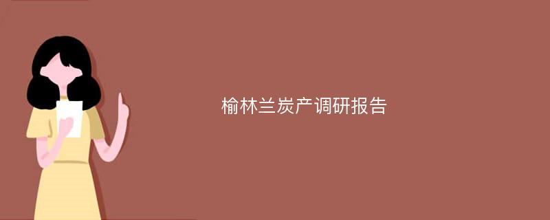 榆林兰炭产调研报告