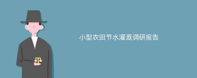 小型农田节水灌溉调研报告