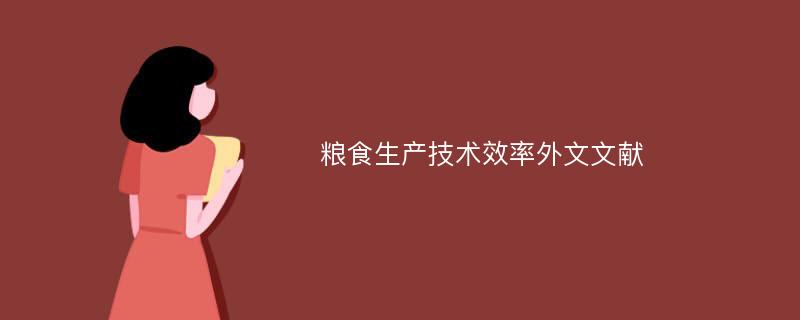 粮食生产技术效率外文文献