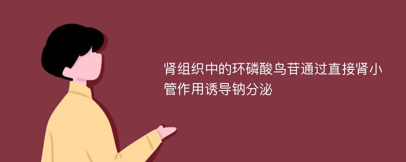 肾组织中的环磷酸鸟苷通过直接肾小管作用诱导钠分泌