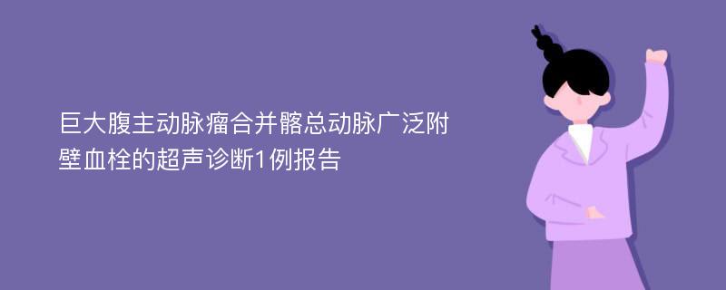 巨大腹主动脉瘤合并髂总动脉广泛附壁血栓的超声诊断1例报告