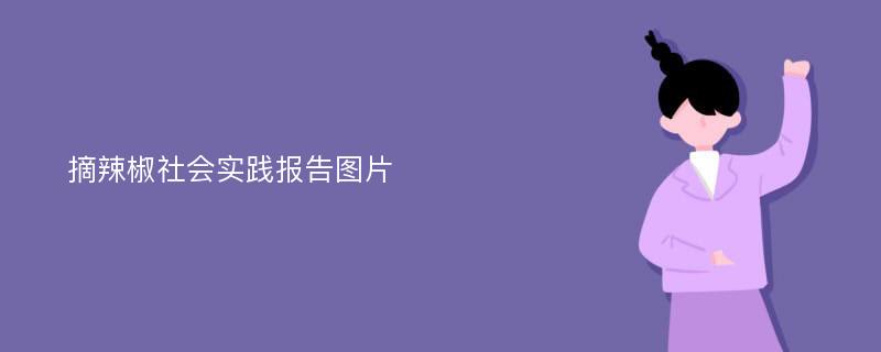 摘辣椒社会实践报告图片